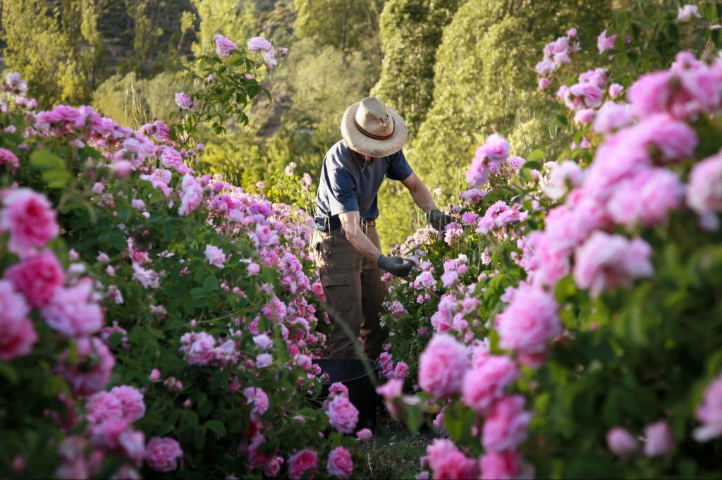 Maria Zafra. (8 de 19)